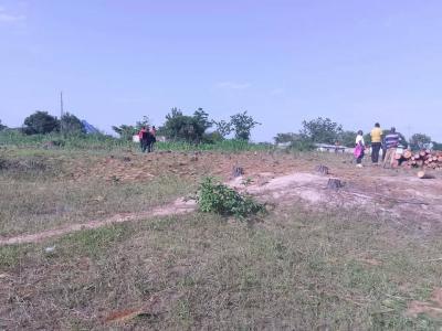 Plots for sale at Kisesa, Mwanza