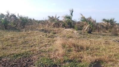 Farm for sale at Heka, Singida