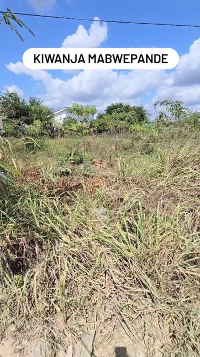 Plot for sale at Mabwepande, Dar Es Salaam