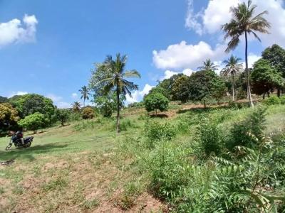 Plots for sale at Mbezi, Dar Es Salaam