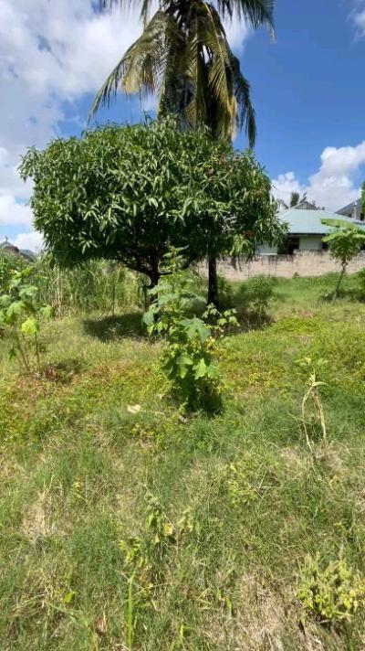 Plots for sale at Mbezi, Dar Es Salaam