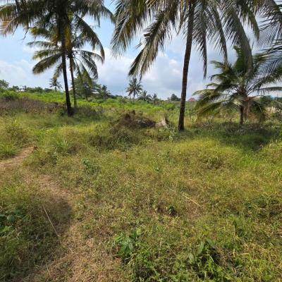 Shamba linauzwa Madale, Dar Es Salaam