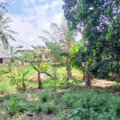 Plot for sale at Tambalale, Tabora