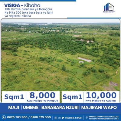 Plots for sale at Visiga, Pwani