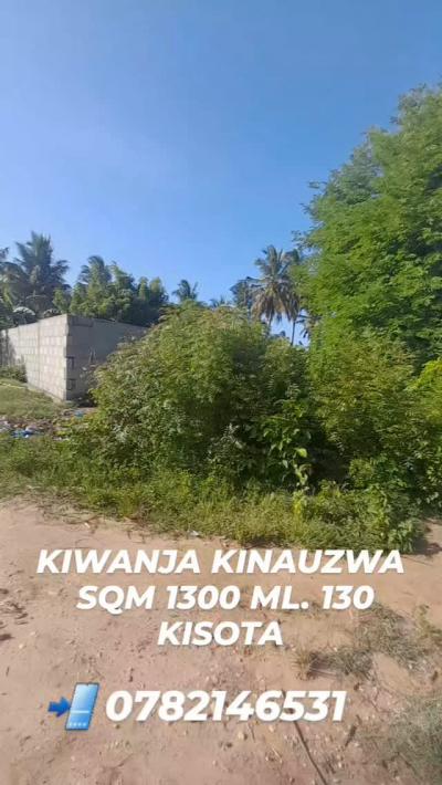 Plots for sale at Kigamboni, Dar Es Salaam