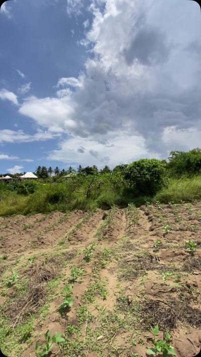 Kiwanja kinauzwa Goba, Dar Es Salaam