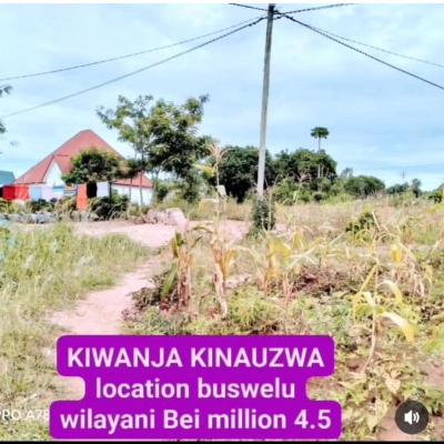 Plot for sale at Buswelu, Mwanza