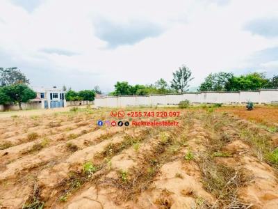 Plot for sale at Nyasaka, Mwanza