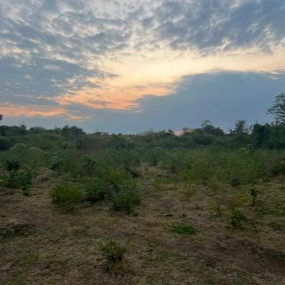 Plots for sale at Kwala, Pwani