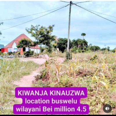 Plot for sale at Buswelu, Mwanza