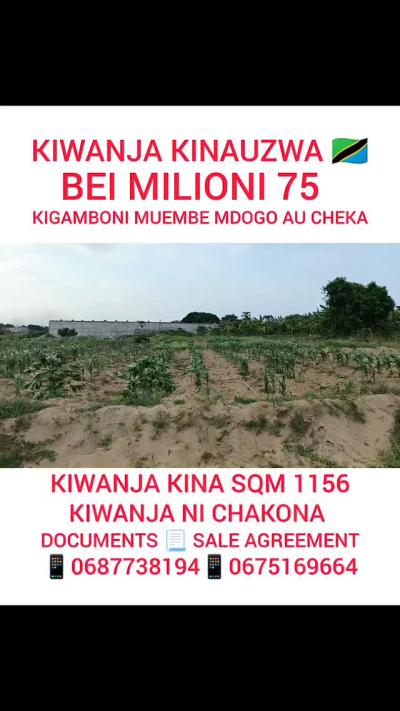 Plot for sale at Kigamboni, Dar Es Salaam