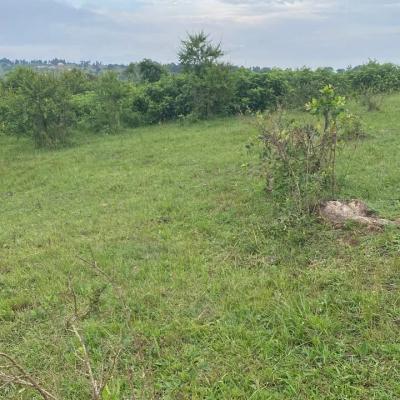 Farm for sale at Nyakahanga, Kagera