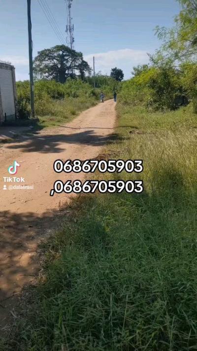 Plots for sale at Kigamboni, Dar Es Salaam