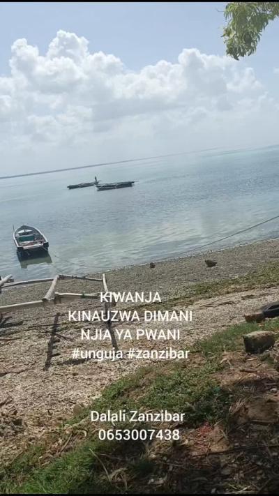 Kiwanja kinauzwa Dimani, Pwani