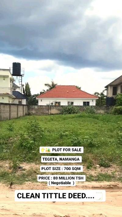 Plot for sale at Namanga, Arusha