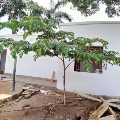 House for Rent at Ubungo, Dar Es Salaam