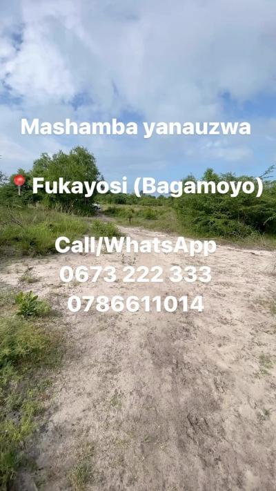 Farms for sale at Bagamoyo, Mbeya