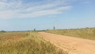 Plot for sale at Buswelu, Mwanza