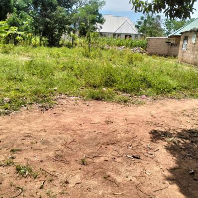 Plot for sale at Buswelu, Mwanza