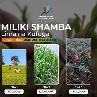 Shamba linauzwa Bagamoyo, Mbeya