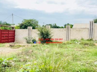 Plot for sale at Nyasaka, Mwanza