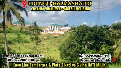 Plots for sale at Mbezi, Dar Es Salaam