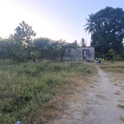 Plot for sale at Tambalale, Tabora