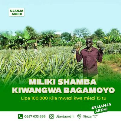 Farms for sale at Kiwangwa, Pwani