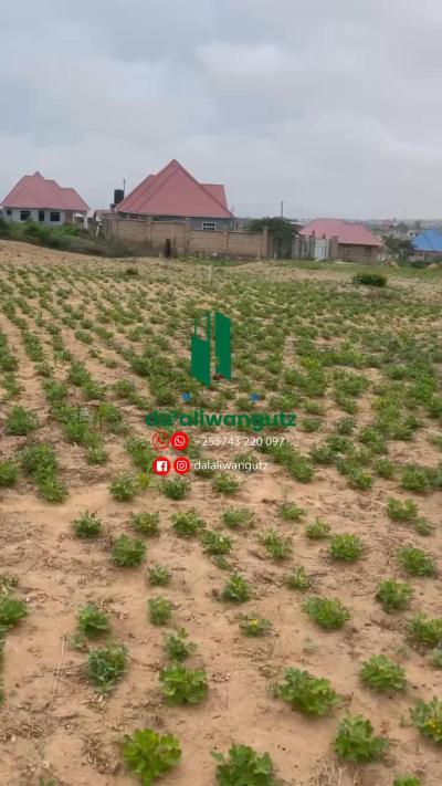 Plot for sale at Ntyuka, Dodoma