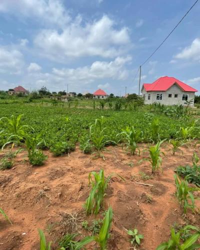 Plot for sale at Mkonze, Dodoma