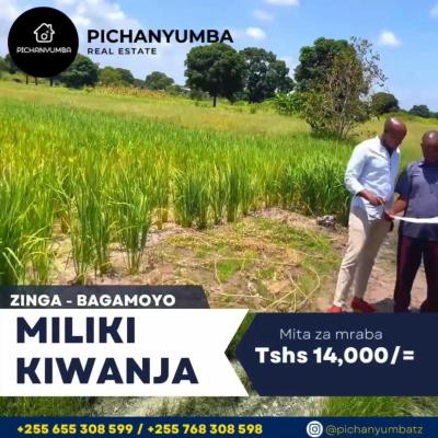 Plots for sale at Zinga, Pwani