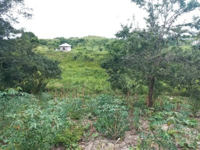 Plot for sale at Mbezi, Dar Es Salaam