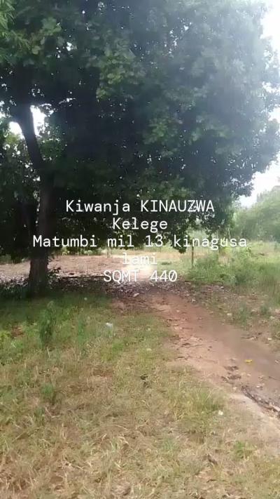 Kiwanja kinauzwa Matumbi, Ruvuma