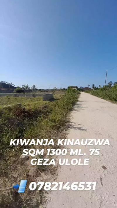 Plots for sale at Kigamboni, Dar Es Salaam