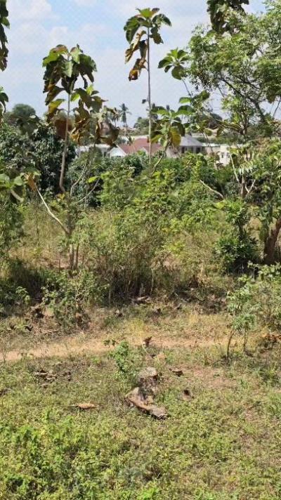 Plot for sale at Goba, Dar Es Salaam