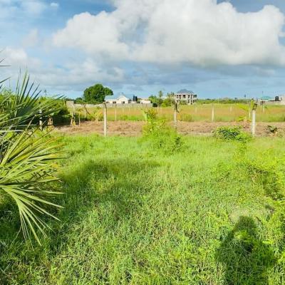 Plots for sale at Kigamboni, Dar Es Salaam