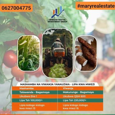 Farms for sale at Makurunge, Pwani