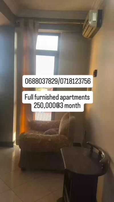 Furnished House/Apartment for Rent at Sinza, Dar Es Salaam