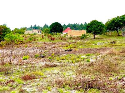 Plots for sale at Vikindu, Pwani