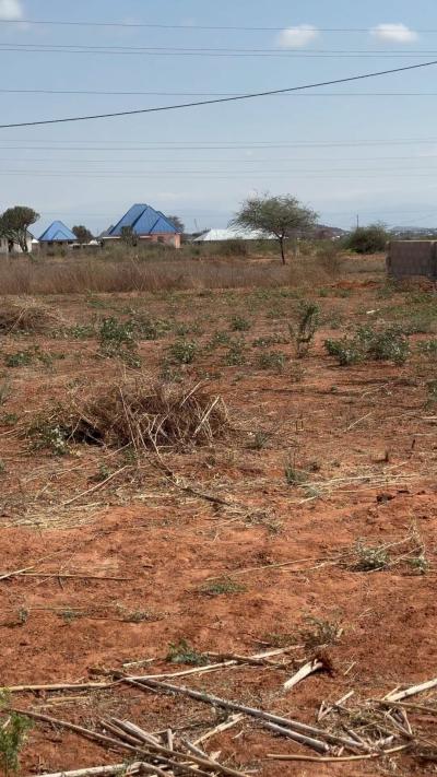 Plot for sale at Mtumba, Dodoma