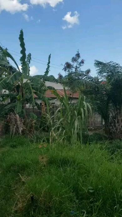 House/Apartment for Rent at Kipande, Rukwa