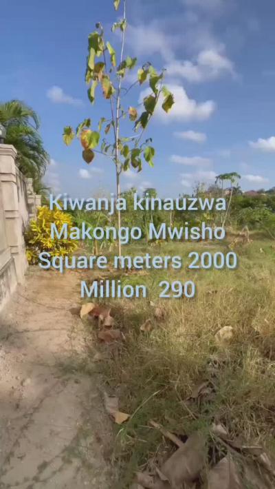 Plot for sale at Makongo, Dar Es Salaam