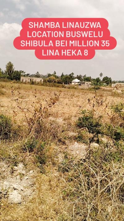 Farms for sale at Buswelu, Mwanza