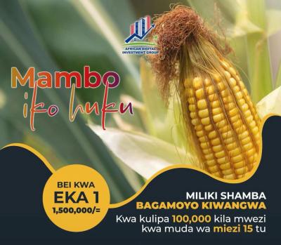 Farms for sale at Bagamoyo, Mbeya