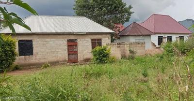 Plot for sale at Buhongwa, Mwanza