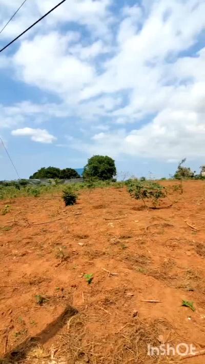 Plot for sale at Tambalale, Tabora