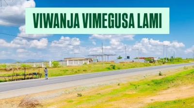 Kiwanja kinauzwa Mtumba, Dodoma