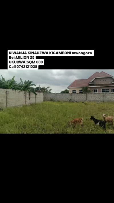 Plot for sale at Kigamboni, Dar Es Salaam