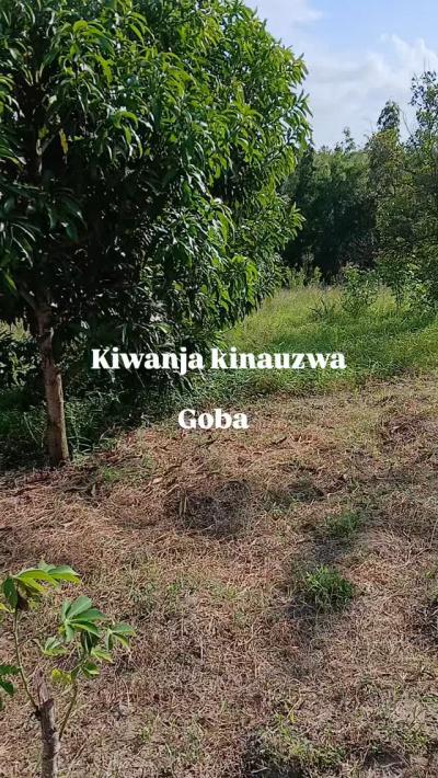 Plot for sale at Goba, Dar Es Salaam