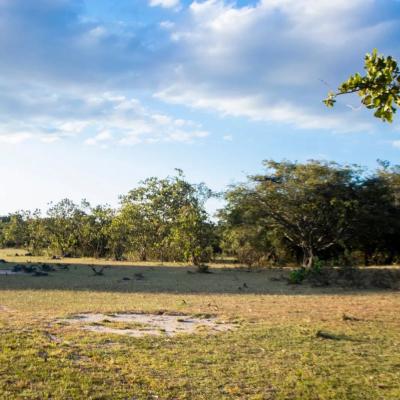 Farm for sale at Kalenga, Iringa